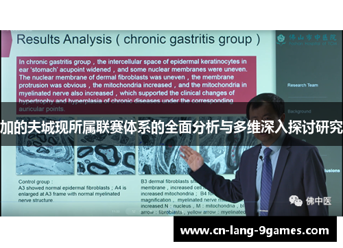 加的夫城现所属联赛体系的全面分析与多维深入探讨研究